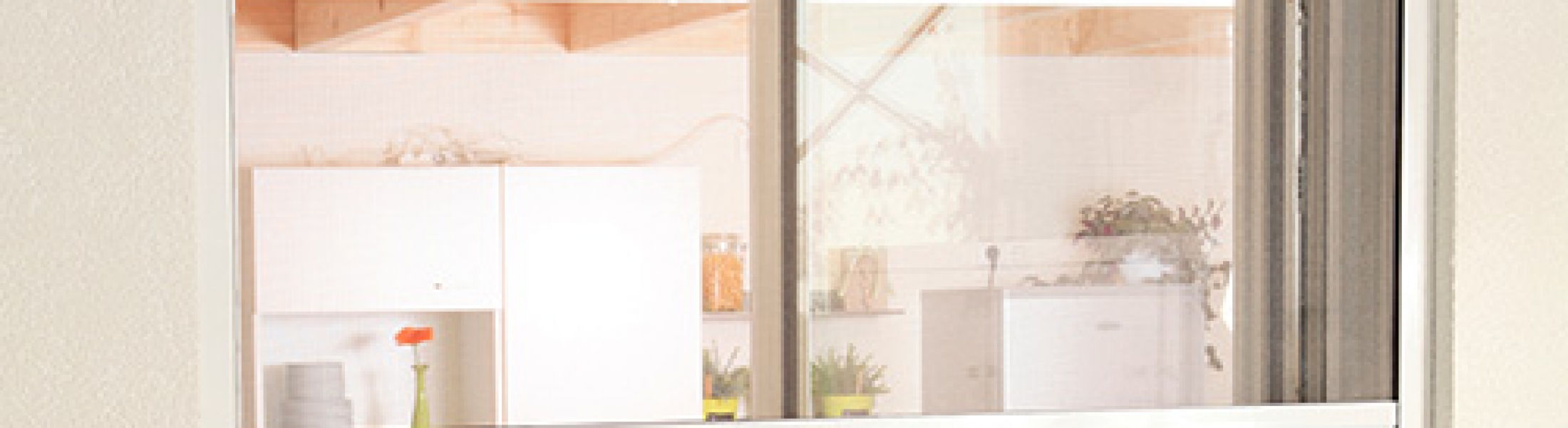 Insektenschutz_Fenster_Rollo_Smart_Beitragsbild hecht