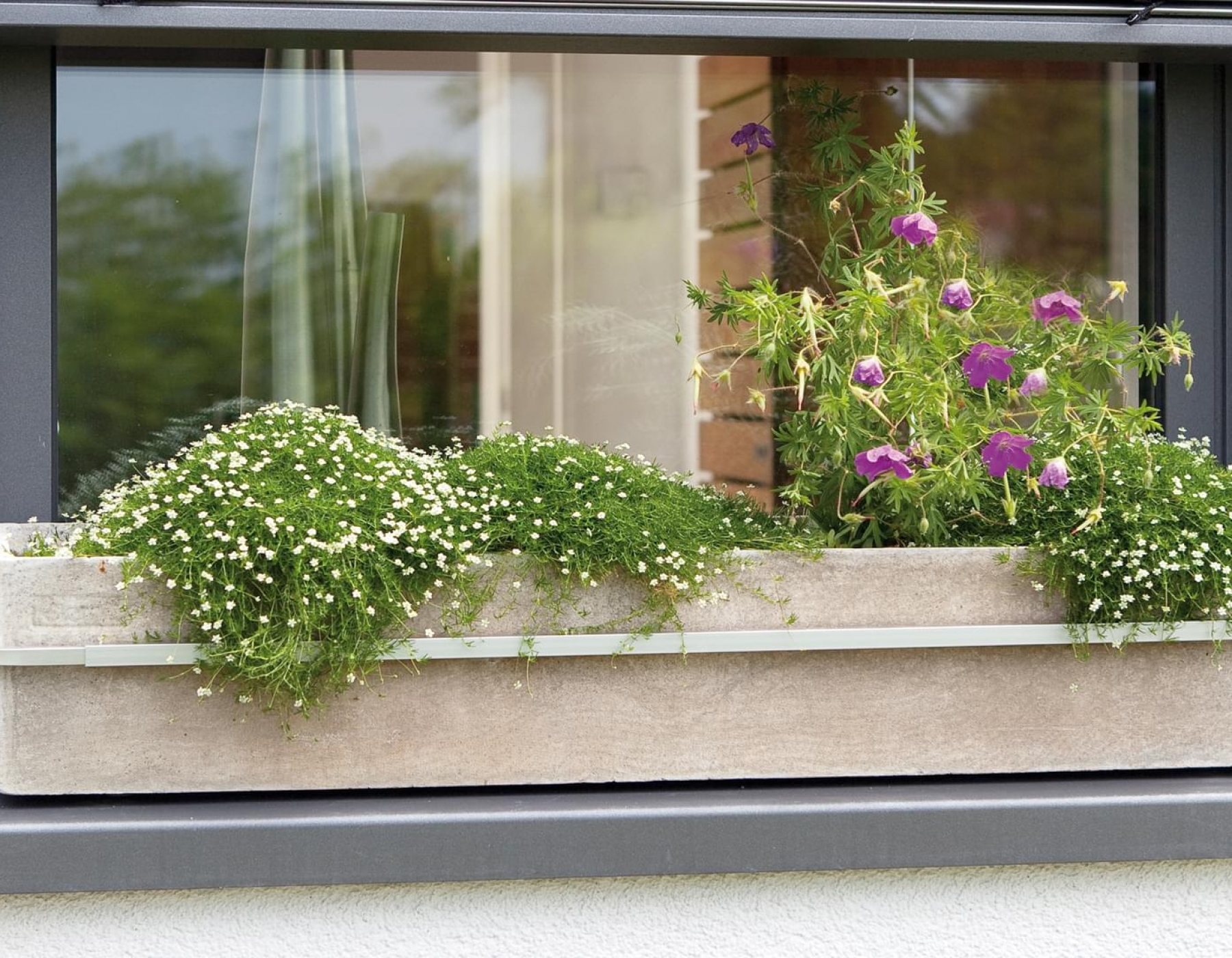 FLORA | hecht international