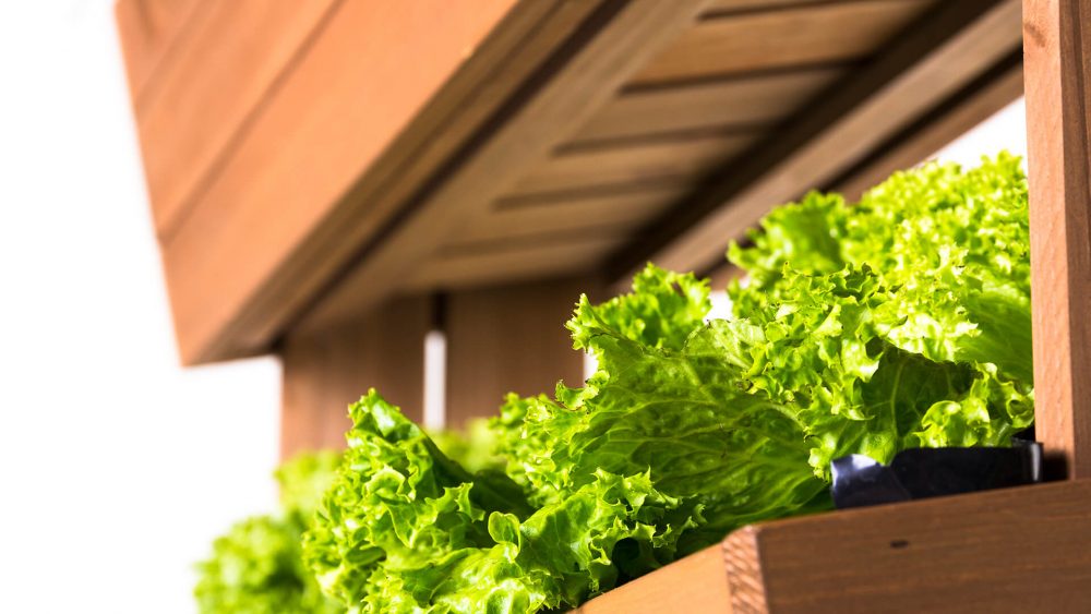 30196 - Vertikales Hochbeet "CUBE 4" | hecht international